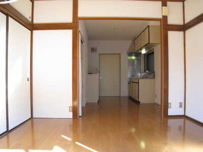 Living and room. Two-sided lighting living