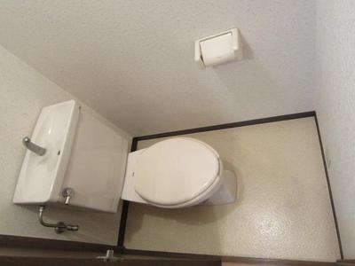 Toilet. Clean toilets