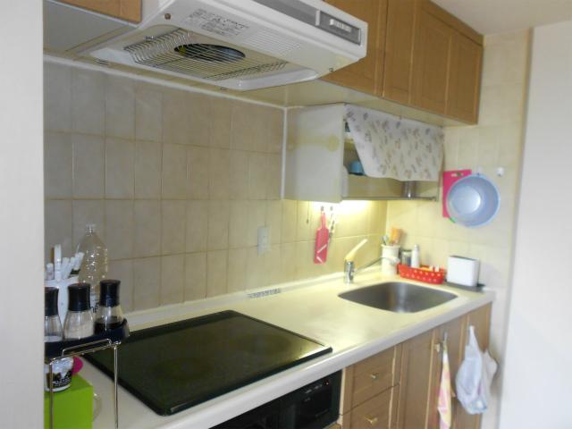 Kitchen. System Kitchen (H23.1 Cross Chokawa ・ CF Chokawa)