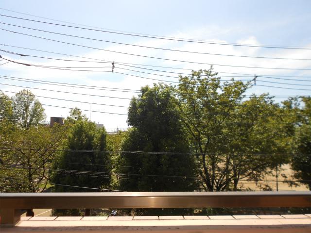 View photos from the dwelling unit. View balcony grounds (south side is the park)