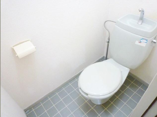 Toilet. Separate reference is a picture