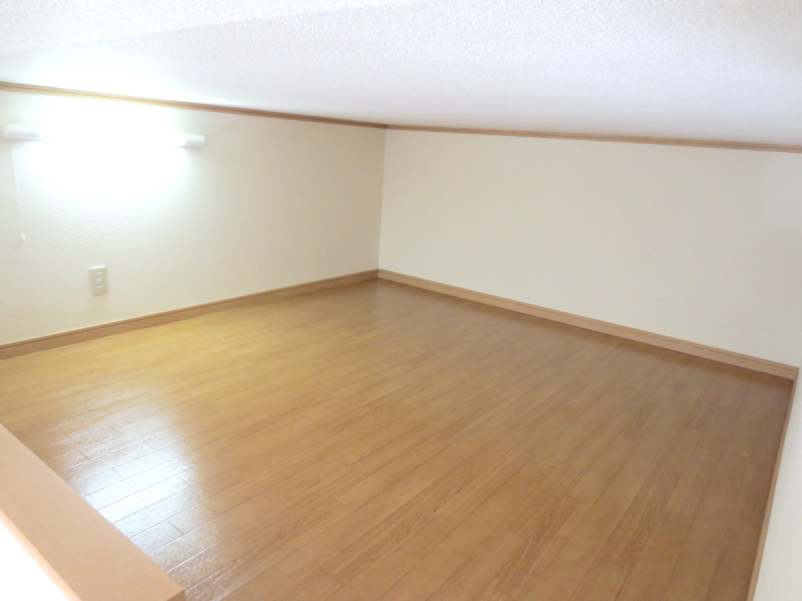 Other room space. Spacious loft! Please to bed!