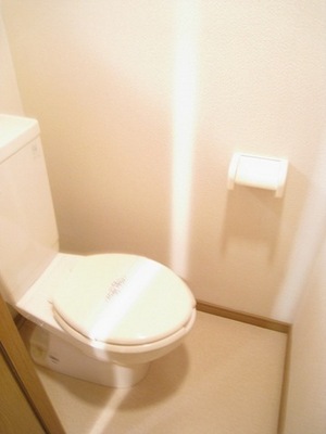 Toilet. Toilet is loose in a separate room