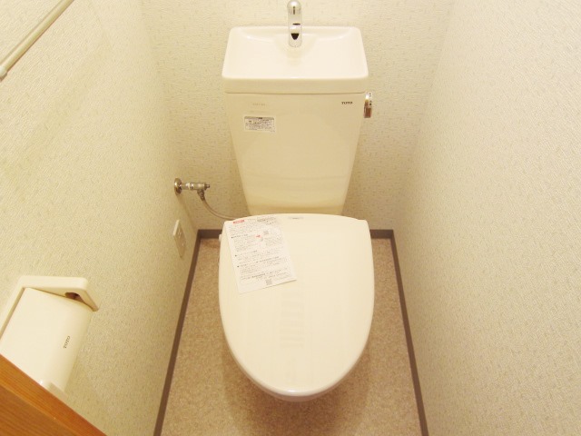 Toilet. Warm heating toilet seat even in the winter