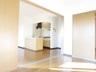 Living and room. Open the door it will be connected with the living