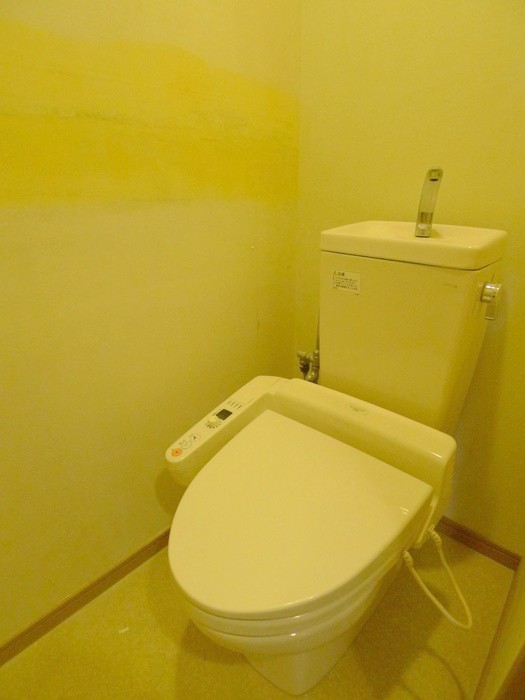 Toilet. With warm water washing toilet seat