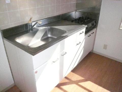 Kitchen. Two-burner gas stove can be installed.