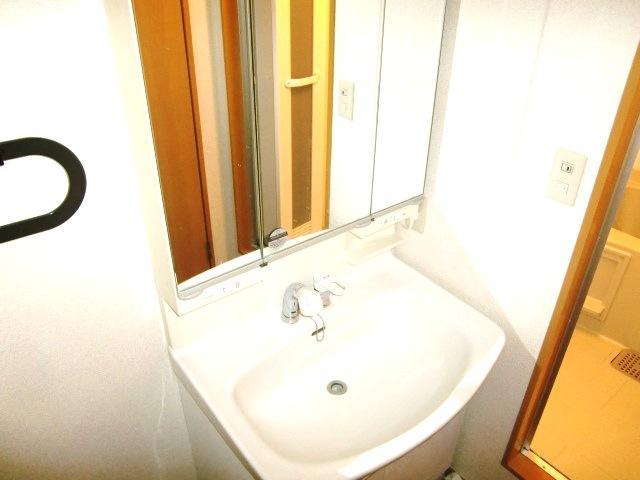 Washroom. Shampoo dresser also become three-sided mirror! Here also for women