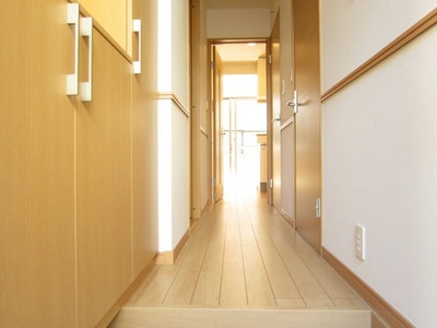 Other. The corridor from the entrance to the room