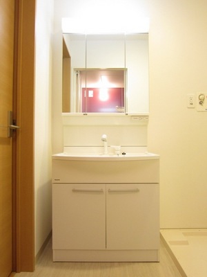 Washroom. Large shampoo dresser