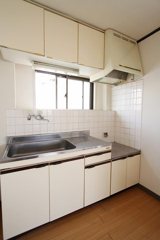 Kitchen. Wide kitchen space that dishes can be fun