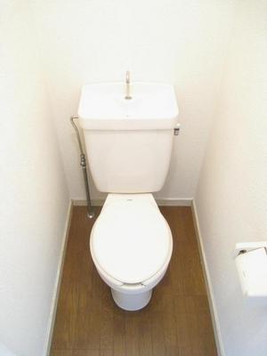 Toilet. Toilet with cleanliness