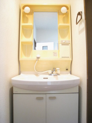 Washroom. Shampoo dresser