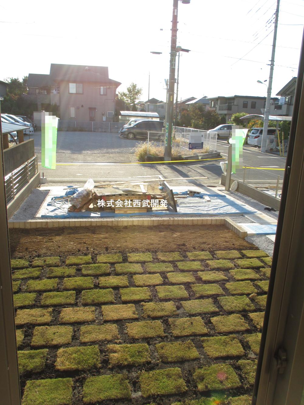 Garden. Local (11 May 2013) Shooting From living