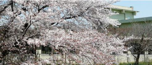 Primary school. 228m until Kawaguchi Tatsusakura town Small (Elementary School)