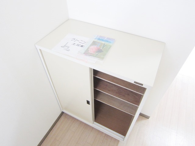 Receipt. Entrance storage is equipped