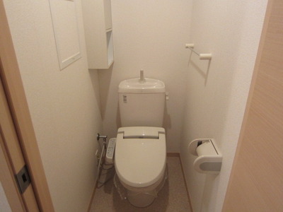 Toilet. Warm water washing toilet seat