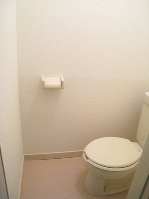 Toilet. Toilet with cleanliness