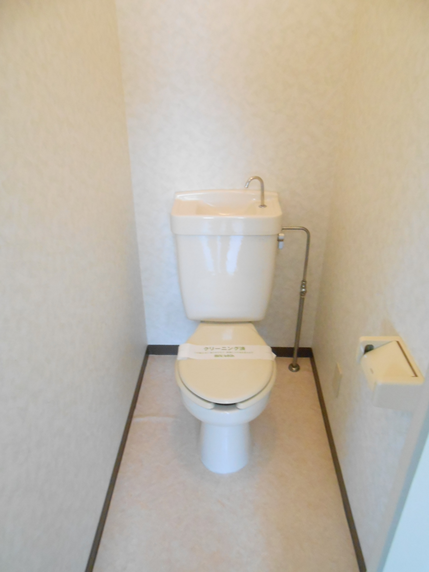 Toilet. Toilet to settle