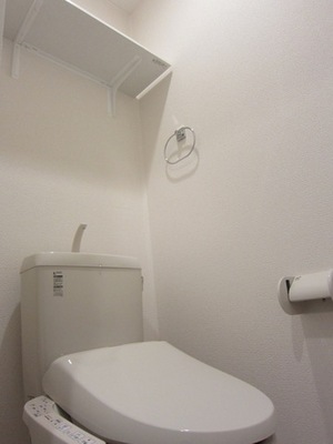 Toilet. There Shed space above