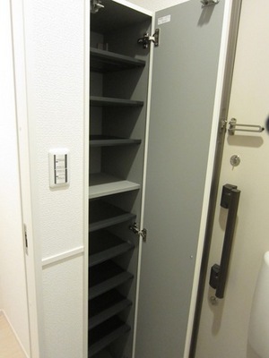 Entrance. Vertically long footwear box