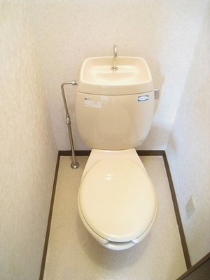 Toilet. Toilet with cleanliness