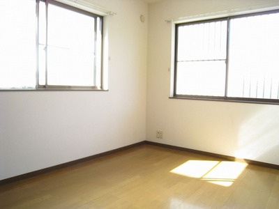 Living and room. Bright two-sided lighting Western-style