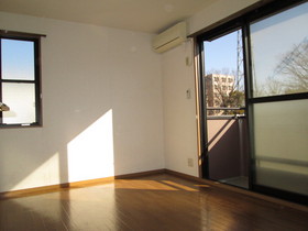 Living and room. Two-sided lighting is the room