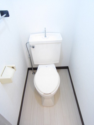 Toilet. Towel with toilet