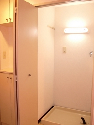 Other. There yard indoor washing machine