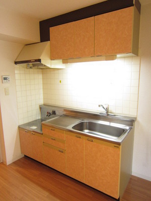 Kitchen. Two-burner gas stove can be installed