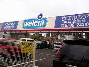 Drug store. Uerushia 339m until Kawaguchi turf shop