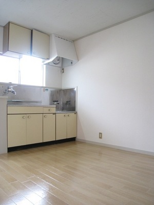 Kitchen. Gas stove installation of