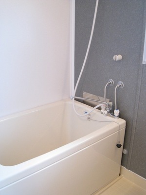 Bath. Stylish bathroom