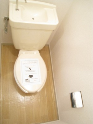 Toilet. Toilet with cleanliness