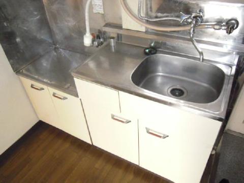 Kitchen. Two-burner gas stove can be installed.