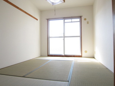 Living and room. Bright Japanese-style room facing the balcony