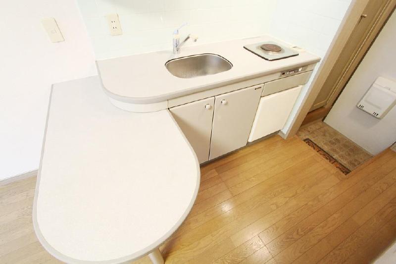 Kitchen. Also with refrigerator Stylish counter kitchen