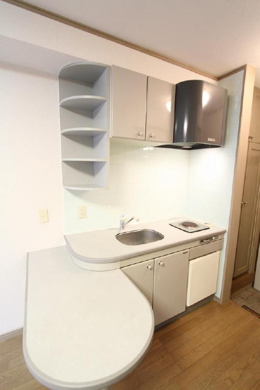 Kitchen. With a convenient storage Use of the counter as a countertop