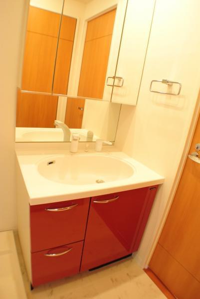 Wash basin, toilet. Wash basin with a shower of big success in the morning of the dressing