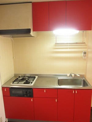 Kitchen. Unique red kitchen