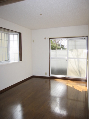 Living and room. Bright rooms with two faces lighting