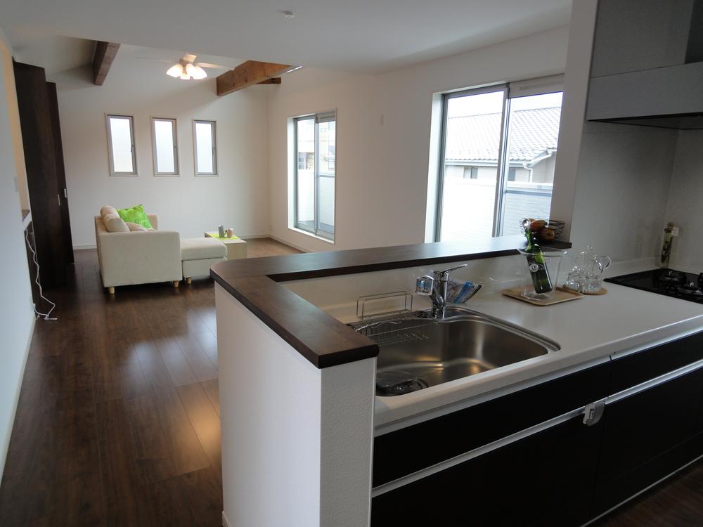 Other. Model house introspection