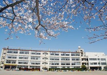 Primary school. 561m until Kawaguchi Municipal Kamiaoki elementary school (elementary school)