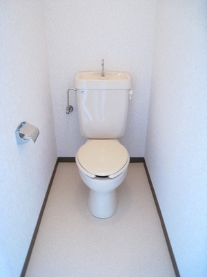 Toilet. Spacious toilet with depth