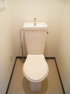 Toilet. Toilet with cleanliness
