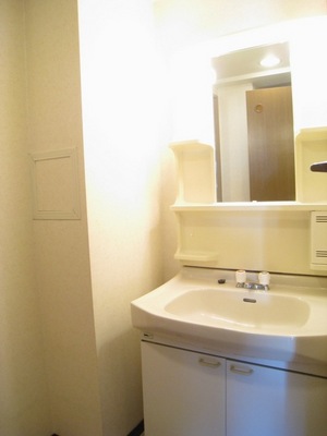 Washroom. There washbasin independent