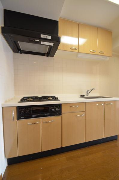 Kitchen. System kitchen