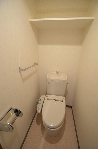 Toilet. Warm water washing toilet seat