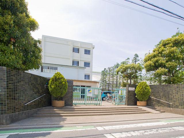 Primary school. Turf central elementary school